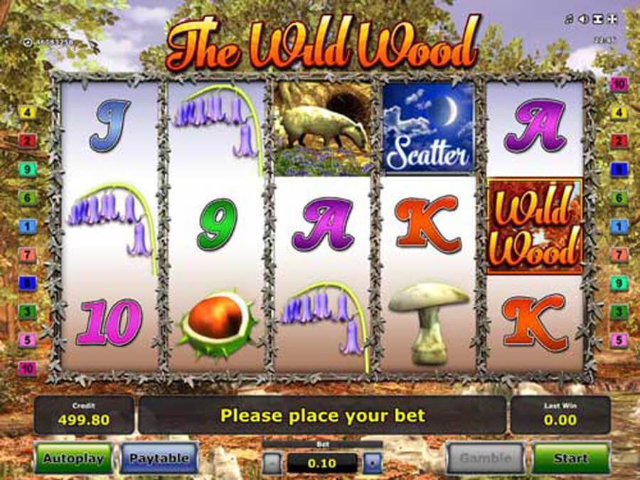 The Wild Wood slot review
