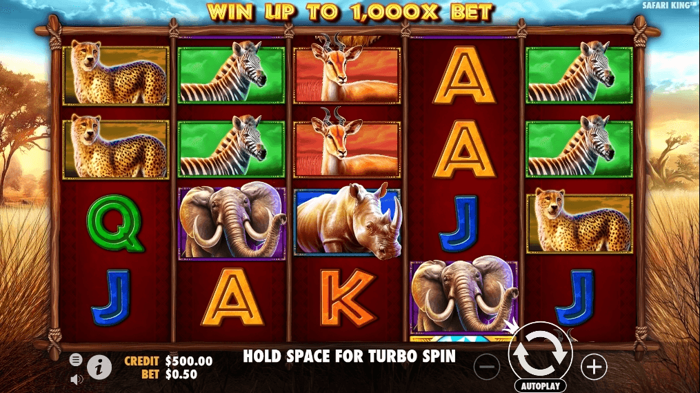 safari king slot