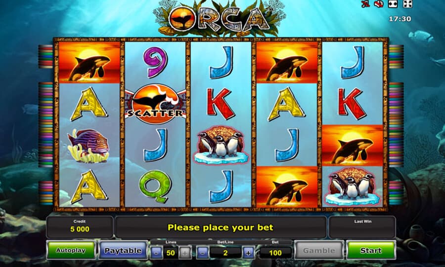 Orca slot review