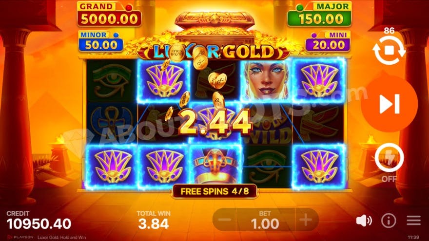 Free Spins feature with a winning combinaton.