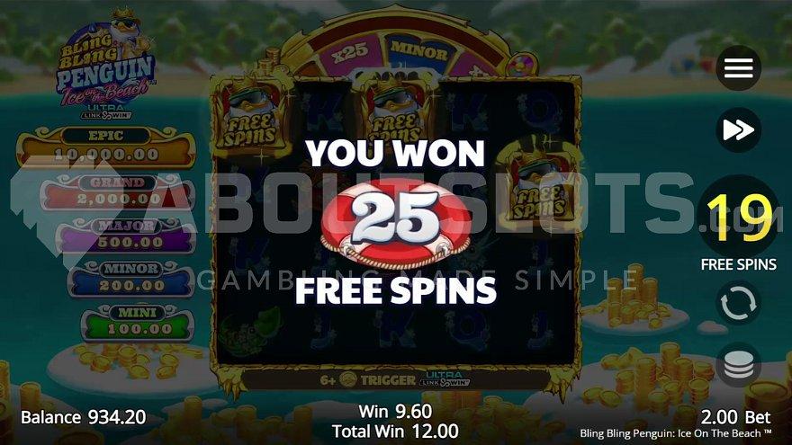 A win of 25 additional Free Spins during the feature. 