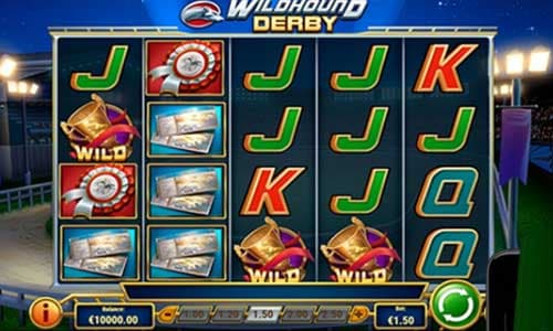 Wildhound Derby Slot Gameplay