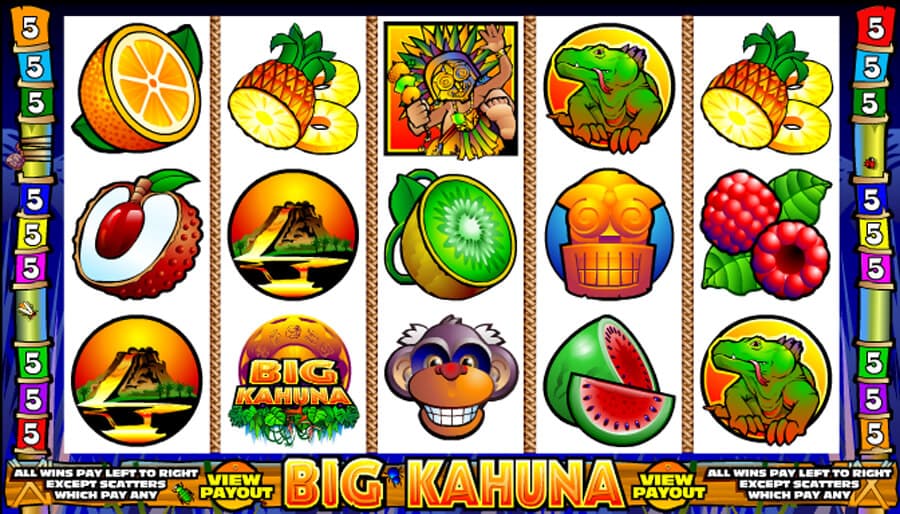 Big Kahuna slot review