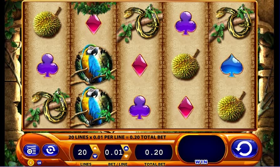 amazon queen slot