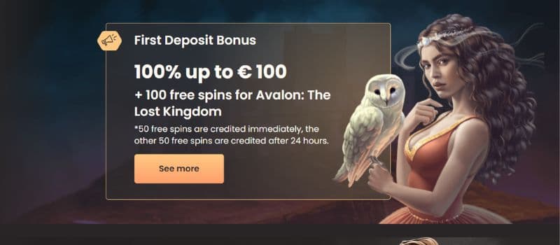 The National Casino gives a 100% bonus of up to 100 EUR on your first deposit.