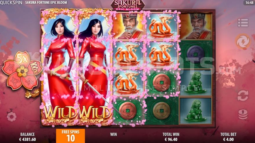 A screenshot of the free spins view