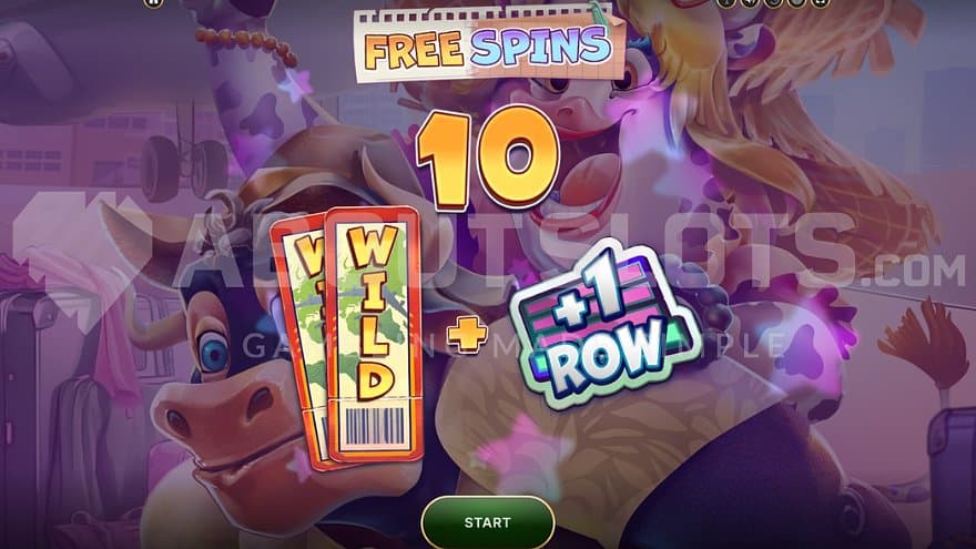 A screen introducing 10 Free Spins. 