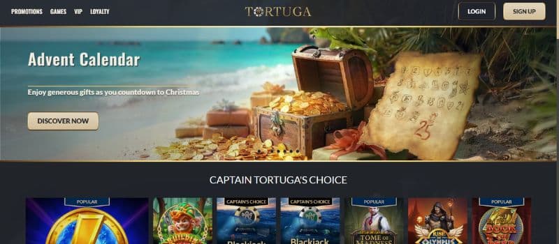 The landing page for Tortuga has a menu on the top left and a log-in and sign-up button on the top right.