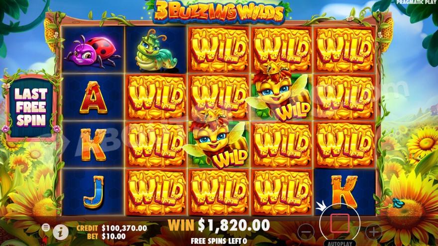 A screenshot from the Surrounding Wilds Free Spins